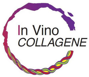 IN VINO COLLAGENE