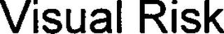VISUAL RISK