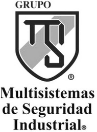 GRUPO MULTISISTEMAS DE SEGURIDAD INDUSTRIAL