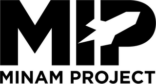 MIP MINAM PROJECT