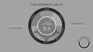 THE HAPPINESS CIRCLE YOUR LIFE SCORE 5.3 CRYSTAL BALLS RUBBER BALLS CAREER LIFESTYLE PERSONAL GROWTH HEALTH RELATIONSHIPS FINANCE THE HAPPINESS CIRCLE