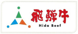 HIDA BEEF