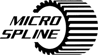 MICRO SPLINE