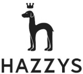 HAZZYS