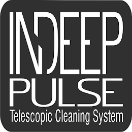 INDEEP PULSE TELESCOPIC CLEANING SYSTEM