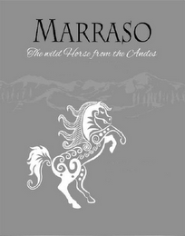 MARRASO THE WILD HORSE FROM THE ANDES