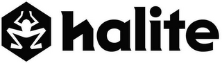 HALITE