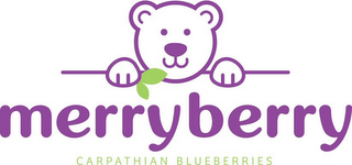 MERRYBERRY CARPATHIAN BLUEBERRIES