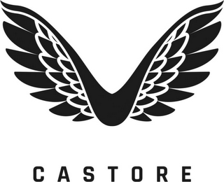 CASTORE