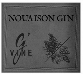 NOUAISON GIN G'VINE