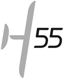 H55