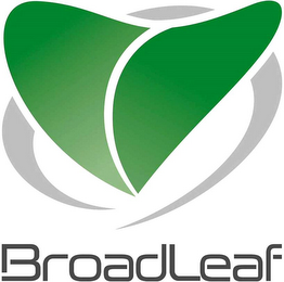 BROADLEAF