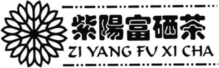 ZI YANG FU XI CHA