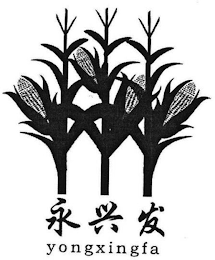 YONGXINGFA