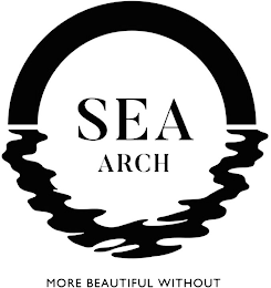 SEA ARCH MORE BEAUTIFUL WITHOUT