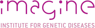 IMAGINE INSTITUTE FOR GENETIC DISEASES