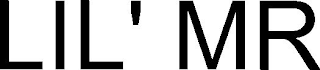 LIL' MR