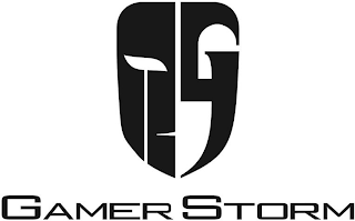 GS GAMER STORM