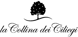 LA COLLINA DEI CILIEGI