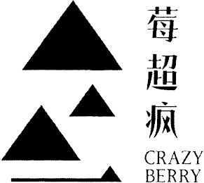 CRAZY BERRY