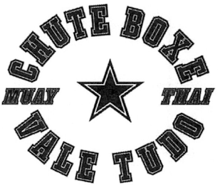 CHUTE BOXE VALE TUDO MUAY THAI