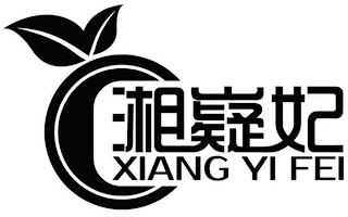 XIANG YI FEI