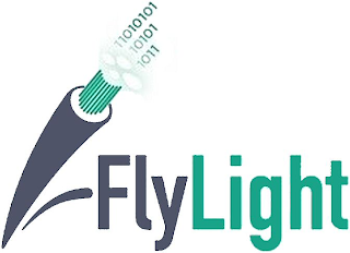 FLYLIGHT