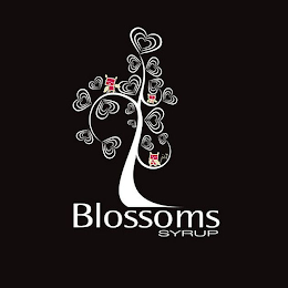 BLOSSOMS SYRUP