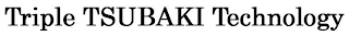 TRIPLE TSUBAKI TECHNOLOGY