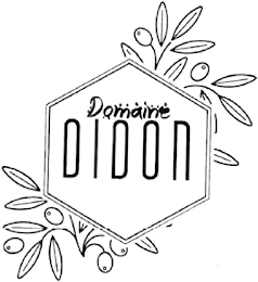 DOMAINE DIDON