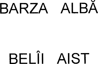 BARZA ALBA BELÎI AIST