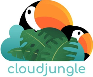 CLOUDJUNGLE