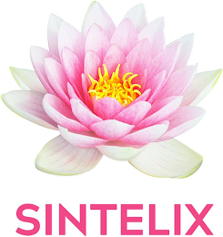 SINTELIX