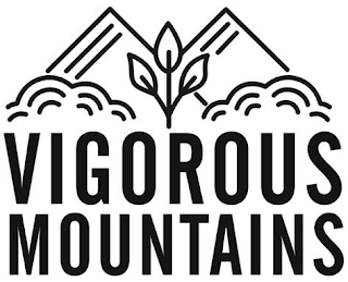 VIGOROUS MOUNTAINS