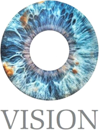 VISION