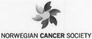 NORWEGIAN CANCER SOCIETY