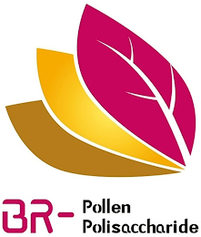 BR-POLLEN POLISACCARIDE