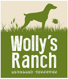 WOLLY'S RANCH