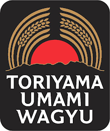 TORIYAMA UMAMI WAGYU