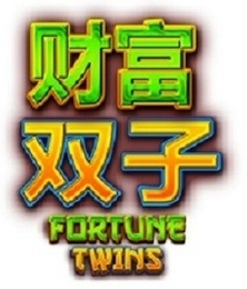 FORTUNE TWINS