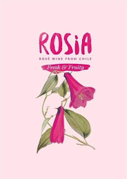 ROSIA ROSÉ WINE FROM CHILE FRESH & FRUITY