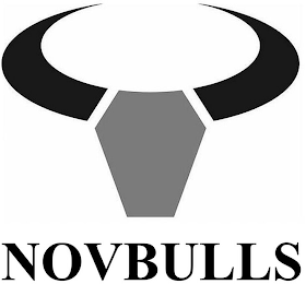 NOVBULLS