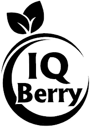 IQ BERRY