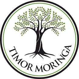 TIMOR MORINGA