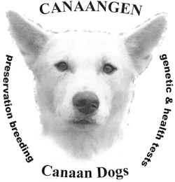 CANAANGEN CANAAN DOGS PRESERVATION BREEDING GENETIC & HEALTH TESTS