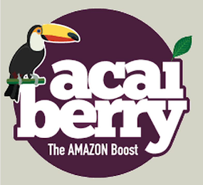 ACAI BERRY THE AMAZON BOOST