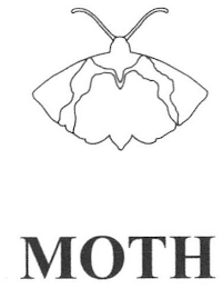 MOTH