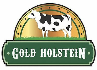 ·GOLD HOLSTEIN·