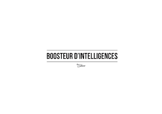 BOOSTEUR D'INTELLIGENCES BY STEVE