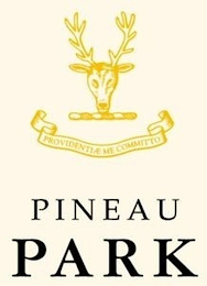 PROVIDENCIAE ME COMMITTO PINEAU PARK